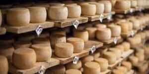 Kelezatan Formaggio Mengenal Ragam Keju Tradisional Italia
